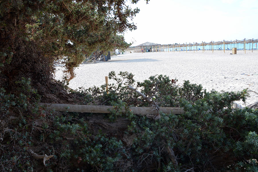  Area della spiaggia con Ombrelloni e bar / PhotoSilvana Matozza
