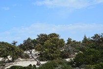 Cielo limpido e ricca vegetazione / PhotoSilvana Matozza