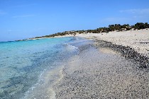  Golden beach . Dune con Juniperus spp / PhotoSilvana Matozza