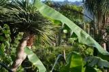 Una suggestiva veduta del Giardino tropicale e mediterraneo / PhotoSilvana Matozza