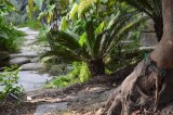 I Giardini di Ravino sono situati lungo la strada statale, tra Forio e Citara. Isola d'Ischia /  PhotoSilvana Matozza