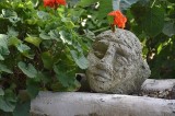 Scultura di testa femminile nel giardino / PhotoSilvana Matozza