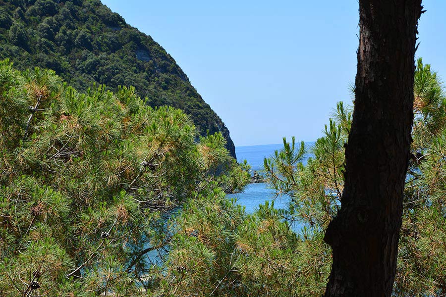 Isola d'Ischia. Giardini Poseidon / PhotoSilvana Matozza