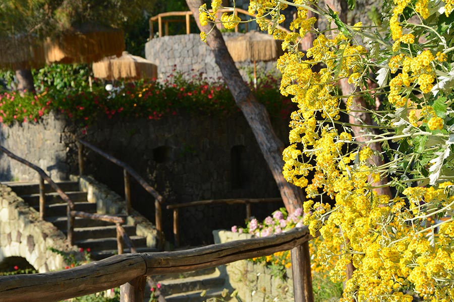 Fiori e colori del parco / PhotoSilvana Matozza