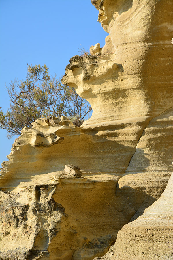 Scultura naturale / PhotoSilvana Matozza