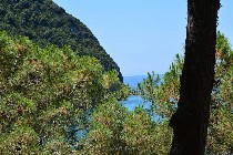 Isola d'Ischia. Giardini Poseidon / PhotoSilvana Matozza