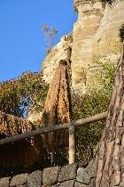 Rocce e piante nel parco / PhotoSilvana Matozza