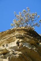 Roccia scolpita dagli agenti atmosferici / PhotoSilvana Matozza