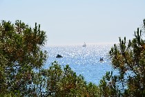 Mare argentato. Isola d'Ischia / Photo©Silvana Matozza