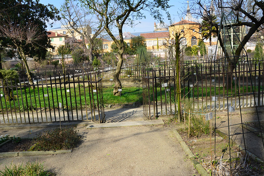 Orto botanico. Una flora per lo pi invernale./ PhotoSilvana Matozza
