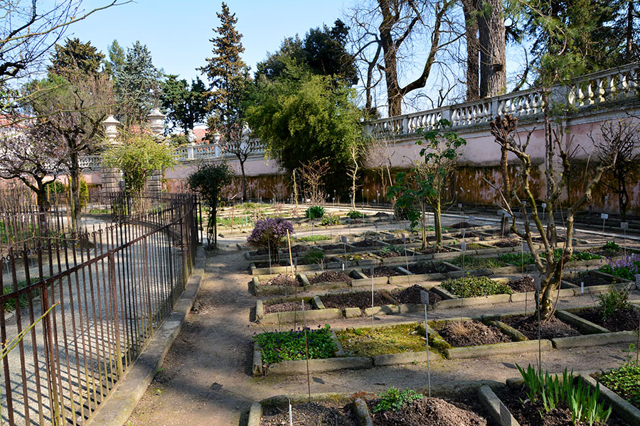 Orto botanico- Padova/ PhotoSilvana Matozza