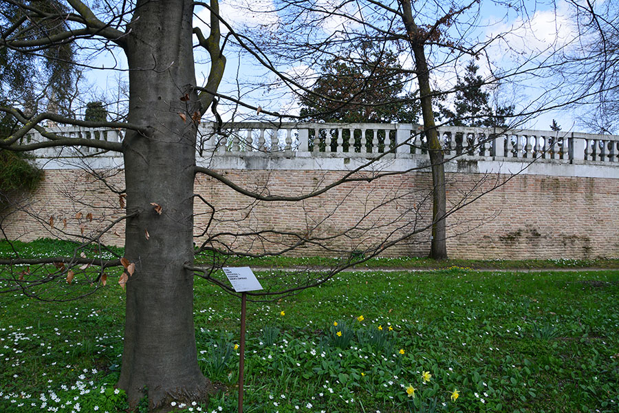 Orto Botanico. Antica recinzione/ PhotoSilvana Matozza