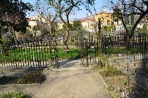 Orto botanico. Una flora per lo pi invernale./ PhotoSilvana Matozza