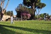 Il parco al calare del sole. / PhotoSilvana Matozza, Guido Bonacci