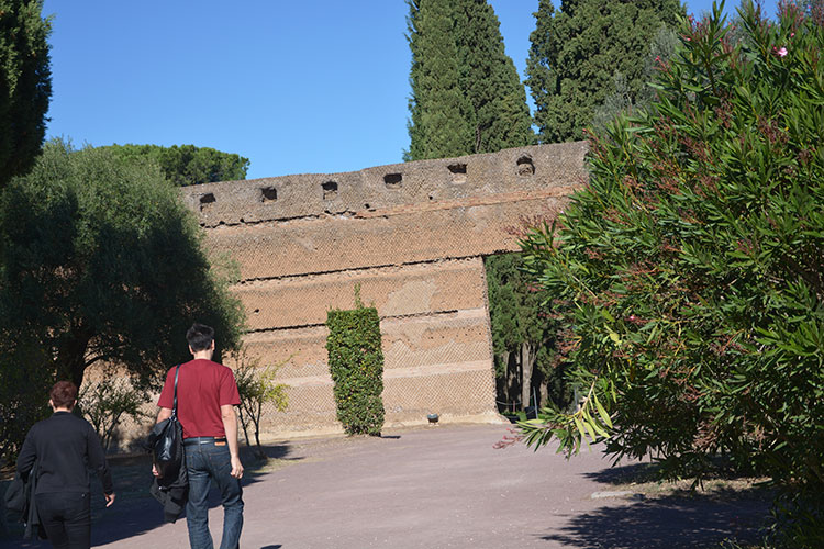 Porta del muro di spina / PhotoSilvana Matozza, Guido Bonacci