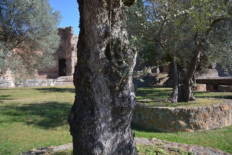 Le  Piccole Terme tra gli alberi / PhotoSilvana Matozza, Guido Bonacci