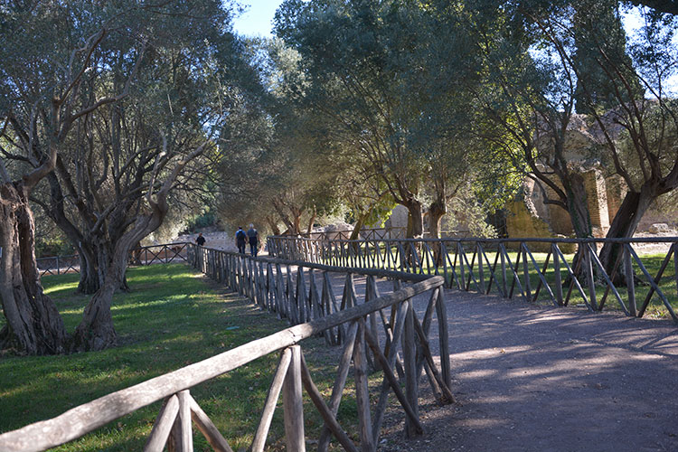 Villa Adriana. Le Piccole Terme./ PhotoSilvana Matozza, Guido Bonacci