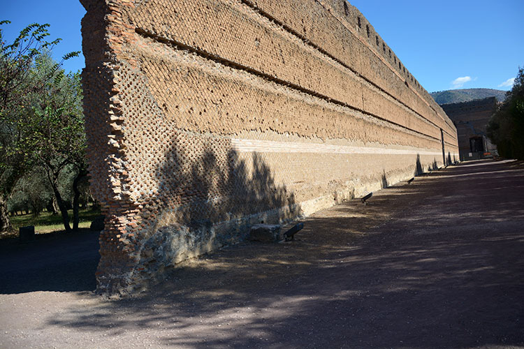  Muro di spina/ PhotoSilvana Matozza, Guido Bonacci