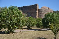 Villa Adriana. Scorcio con oleandri / Photo©Silvana Matozza, Guido Bonacci