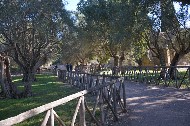 Villa Adriana. Le Piccole Terme./ Photo©Silvana Matozza, Guido Bonacci