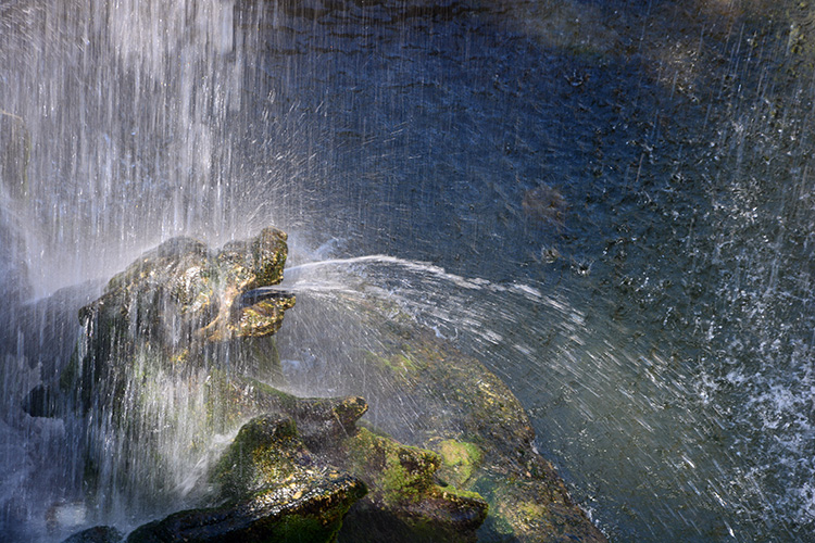 Fauci di Drago cob spruzzi d'acqua / PhotoSilvana Matozza, Guido Bonacci