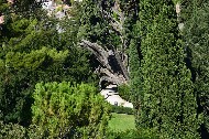 Thumbs/tn_1.Villa_d'Este.giardino.jpg