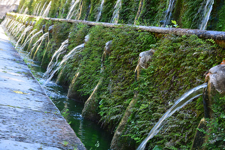 Bocche d'acqua. Prospettiva  /  PhotoSilvana Matozza, Guido Bonacci