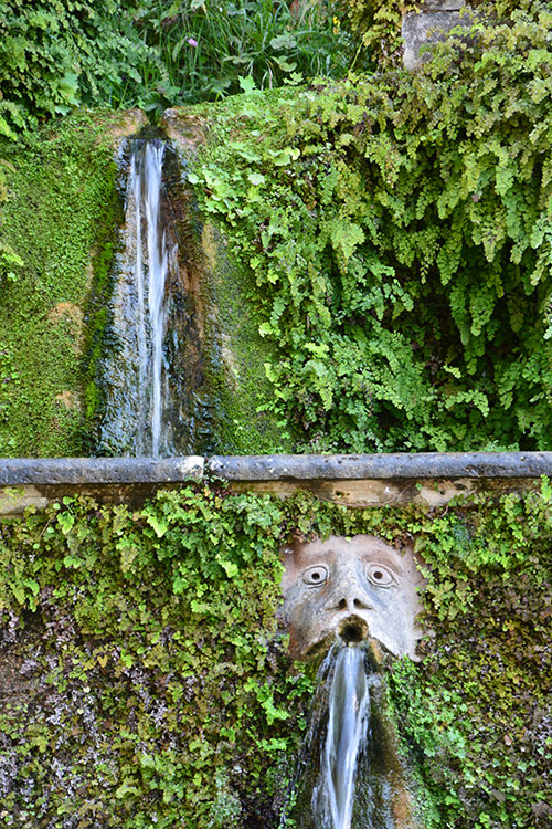 Mascherone. Villa d'Este /  PhotoSilvana Matozza, Guido Bonacci