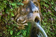 Mascherone con acqua. Cento Fontane  /  Photo©Silvana Matozza, Guido Bonacci