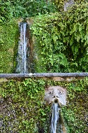 Mascherone. Villa d'Este /  Photo©Silvana Matozza, Guido Bonacci