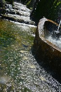 Il fiume Tevere e la navicella / Photo©Silvana Matozza, Guido Bonacci