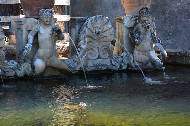 Creature marine / Photo©Silvana Matozza, Guido Bonacci