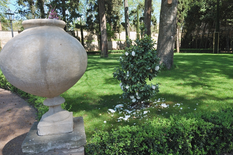 Aiuole fiorite /PhotoSilvana Matozza, Guido Bonacci