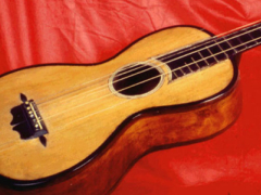 chitarra esposta alla mostra " Mazzini e la musica"