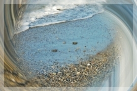 Caretta Caretta Sea Turtles. Tartarughe marine a Platanias Beach. Crete / La Geo Photogallery di Impressioni Jazz
