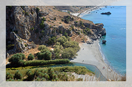 Preveli.The palm forest / Geo Photogallery Impressioni Jazz