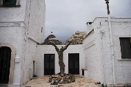 Un albero-scultura tra i trulli. PhotoSilvana Matozza, Guido Bonacci