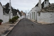 Gatto tra i trulli. PhotoSilvana Matozza, Guido Bonacci