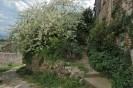 scorcio fiorito della cittadina umbra in provincia di Terni