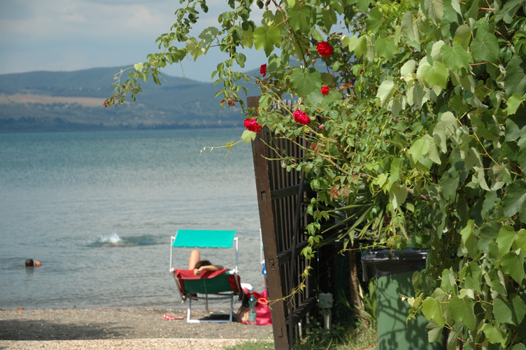 bagnanti e piante al lago / photo di Silvana Matozza e Guido Bonacci