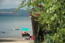 anche le piante prendono il sole