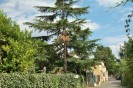 viale con statua