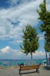 panchina con vista sul lago di Bracciano