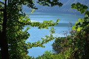 Thumbs/tn_Castel_Gandolfo.Lago-tra-gli-alberi.jpg