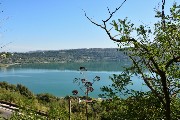 Thumbs/tn_Castel_Gandolfo.Scorcio.Binari-della-Ferrovia-e-Lago.jpg