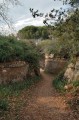 Thumbs/tn_Tumuli_Etruscan_Tombs.jpg