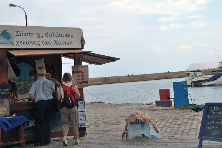 ../Images/tartaruga_Caretta.Stand.Chania_old_harbour.jpg