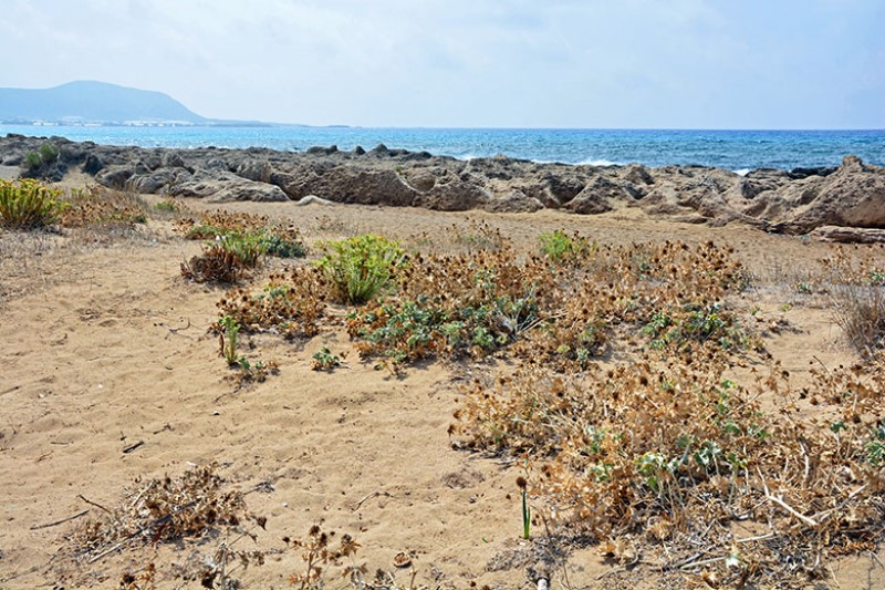Creta.  Una veduta della spiaggia  naturale e aspra di Falassarna. PhotoSilvana Matozza, Guido Bonacci