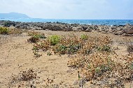 Creta.  Una veduta della spiaggia  naturale e aspra di Falassarna. Photo©Silvana Matozza, Guido Bonacci