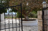 Creta. Falassarna beach. Scorcio del cortile, dal cancello d'ingresso. PhotoSilvana Matozza, Guido Bonacci